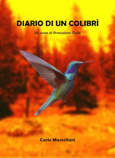 colibri